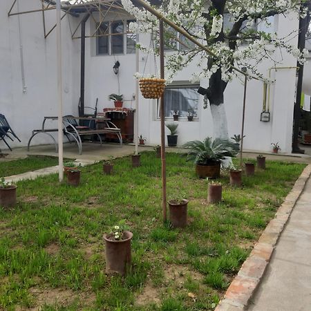 House Hotel Craiova Exterior photo
